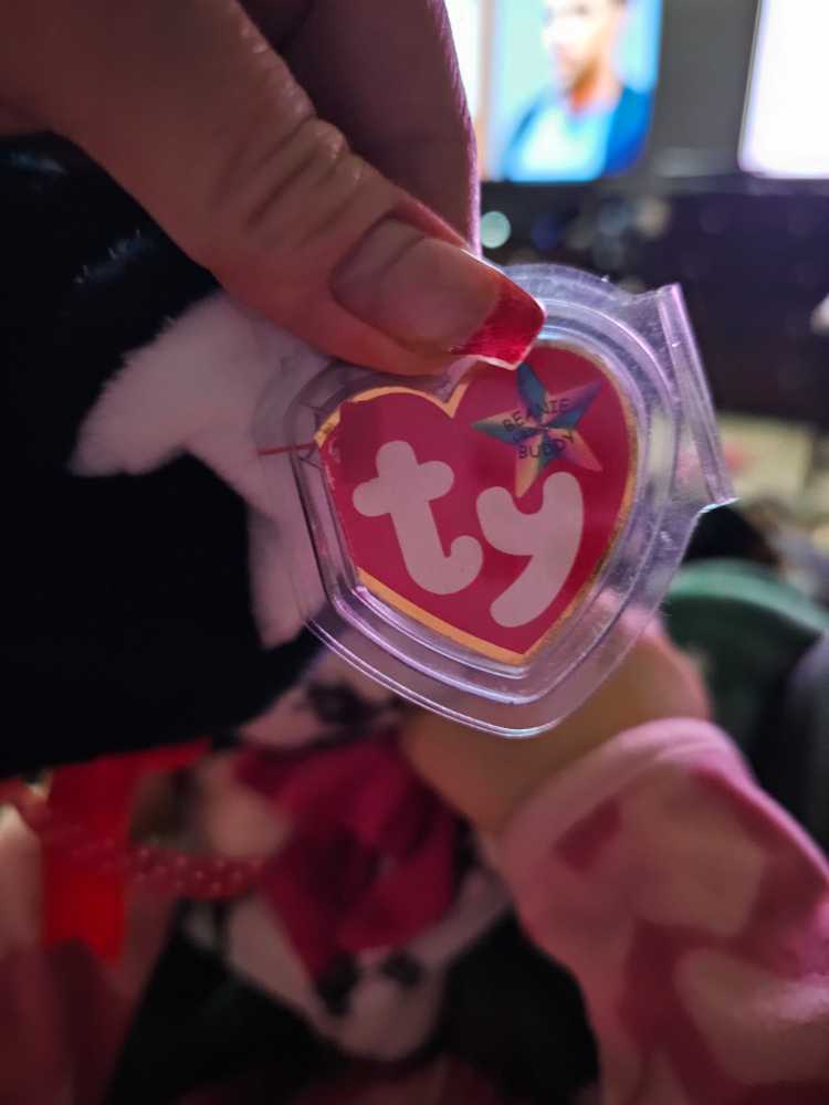 Zip The Cat - Beanie Buddy  (United States) plush collectible [Barcode 008421093601] - Main Image 3