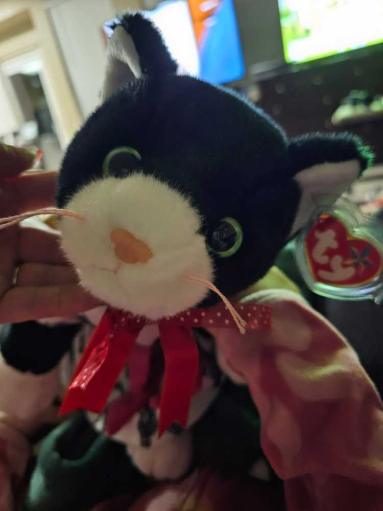 Zip The Cat - Beanie Buddy  (United States) plush collectible [Barcode 008421093601] - Main Image 4