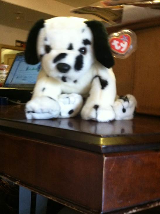 DOTTY the Beanie Buddy  (United States) plush collectible [Barcode 008421093649] - Main Image 2