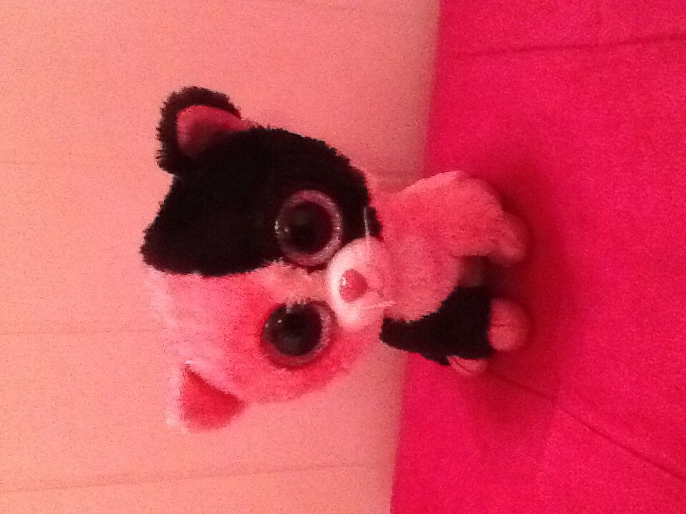 Presents the Dog Ty Plush