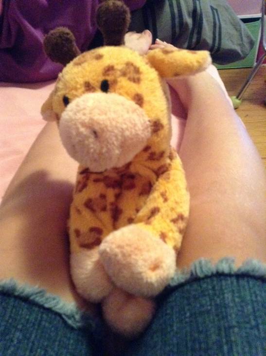 Red the Bull Ty Pillow Pal