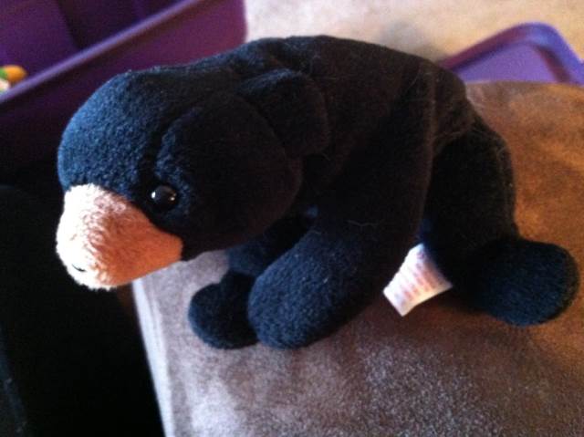 January the Birthday Bear