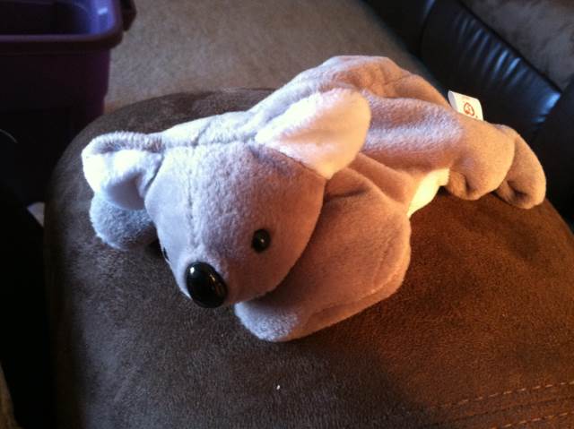 Beanie Ballz Clip - Rascal the dog