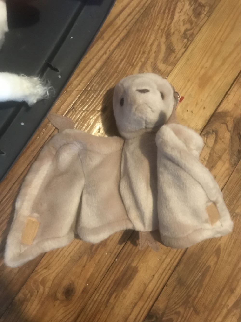 Batty The Beanie Buddy  (United States) plush collectible [Barcode 008421093793] - Main Image 2