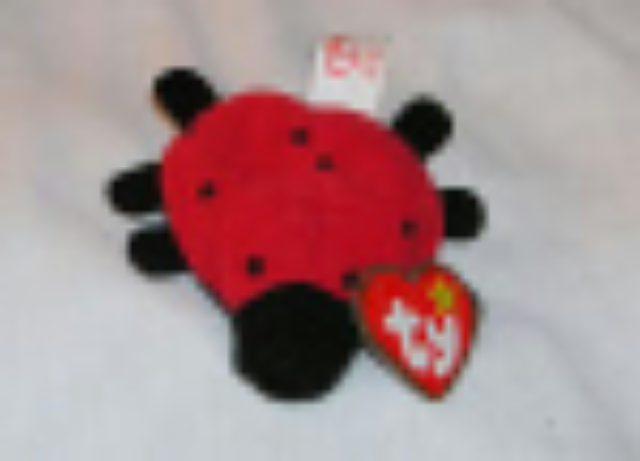 Teenie Beenie Babies 