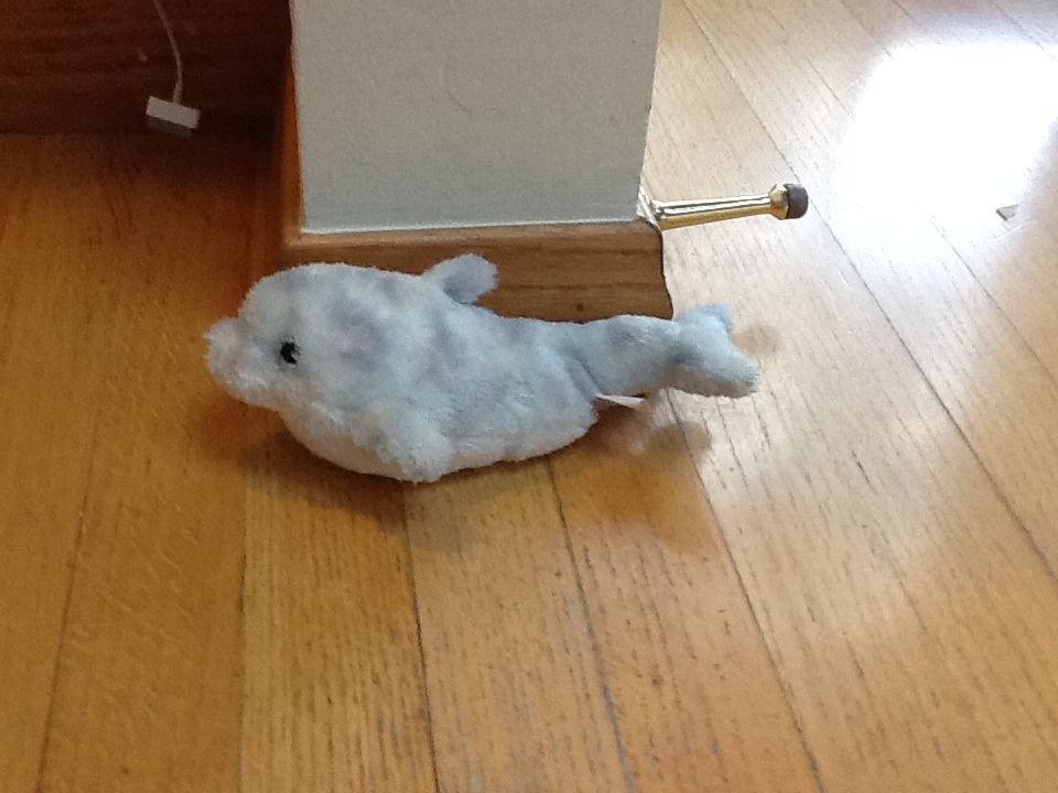 Birthday Bear  - (1) January