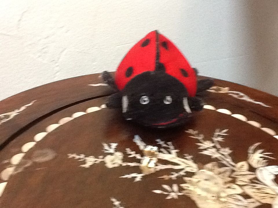 Frankenteddy The Bear (Buddy)