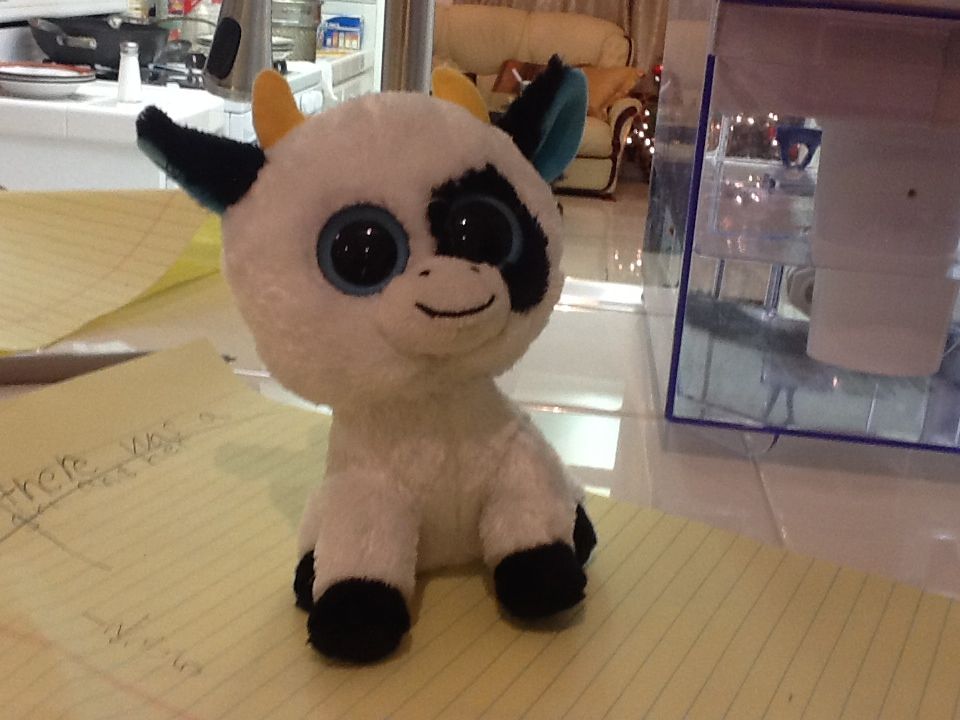 Inky the Squid (Octopus) 