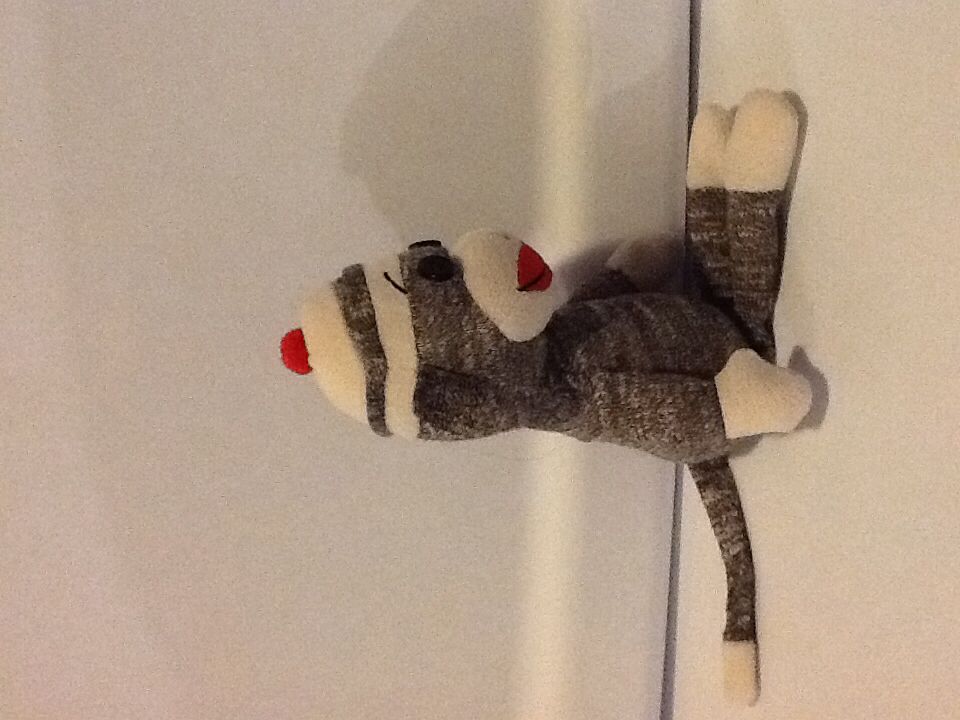 Socks G.  plush collectible - Main Image 2