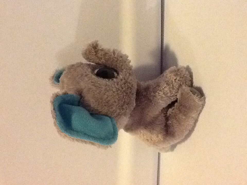 Peanut B.  plush collectible - Main Image 2