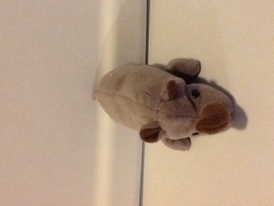 Jumbles the Cat Plush