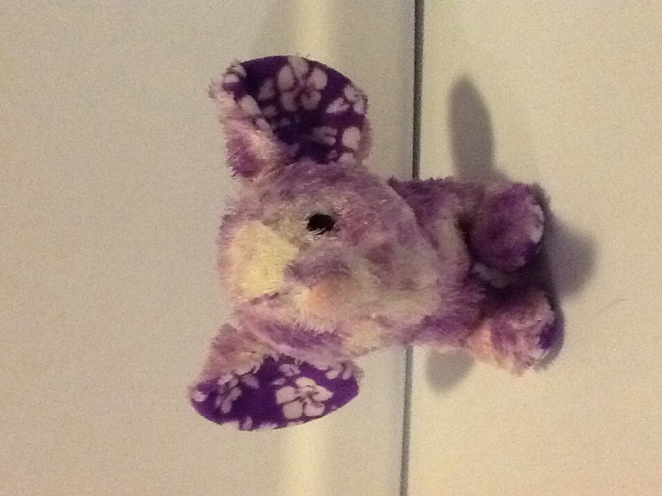 Kanata The Bear (Nova Scotia)