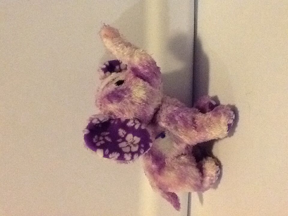 Coastline The Elephant  plush collectible - Main Image 2