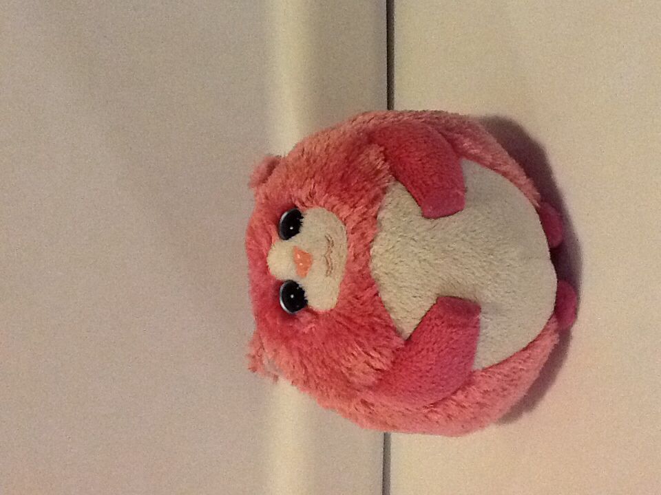 Cool Cat (Garfield The Cat)