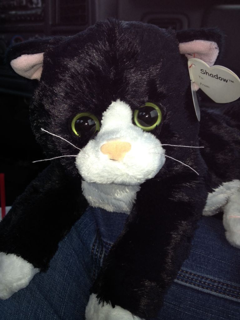 Shadow The Cat Ty Classic  plush collectible - Main Image 2
