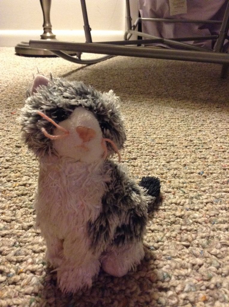 .BOOS Rainbow The Unicorn (Clip)