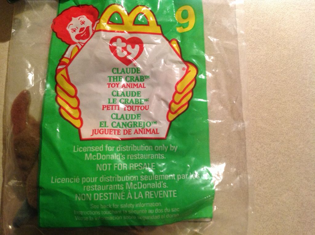 Starlett the Cat Buddy