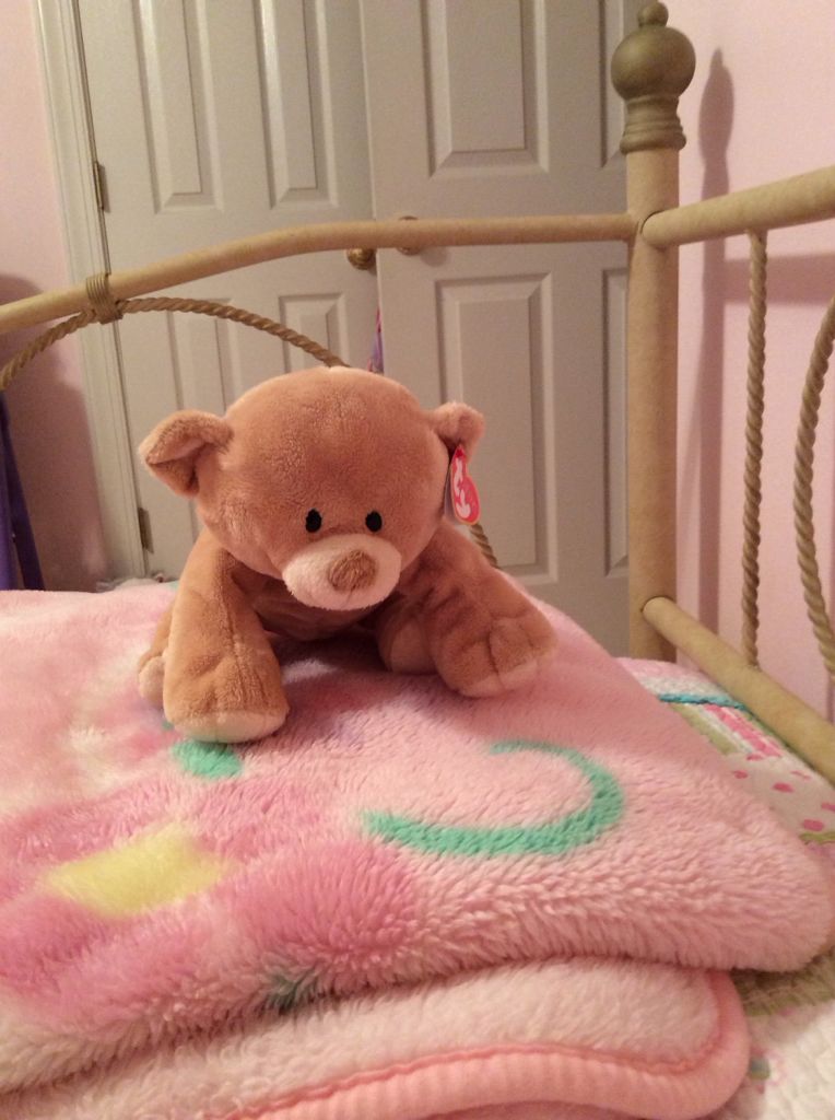 Baby Cinnamon the Bear Plush