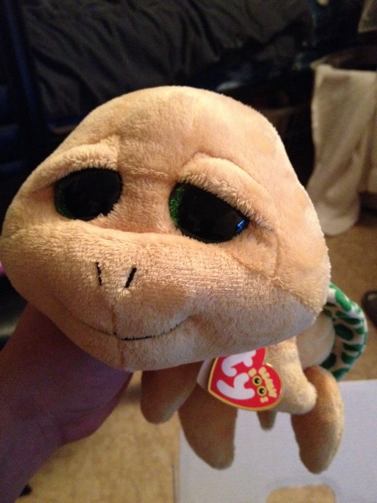 Legend the Dragon TY