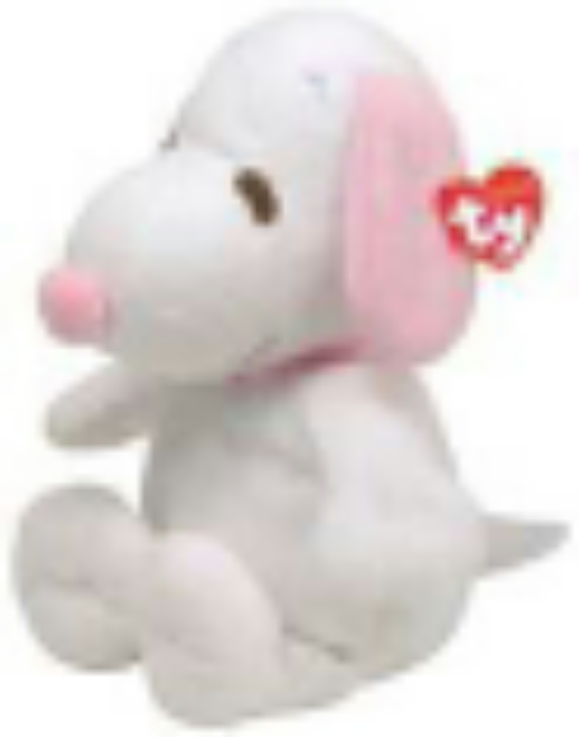 rainbow the chameleon teenie