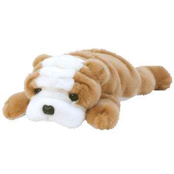 Wrinkles the English Bulldog (Dog)