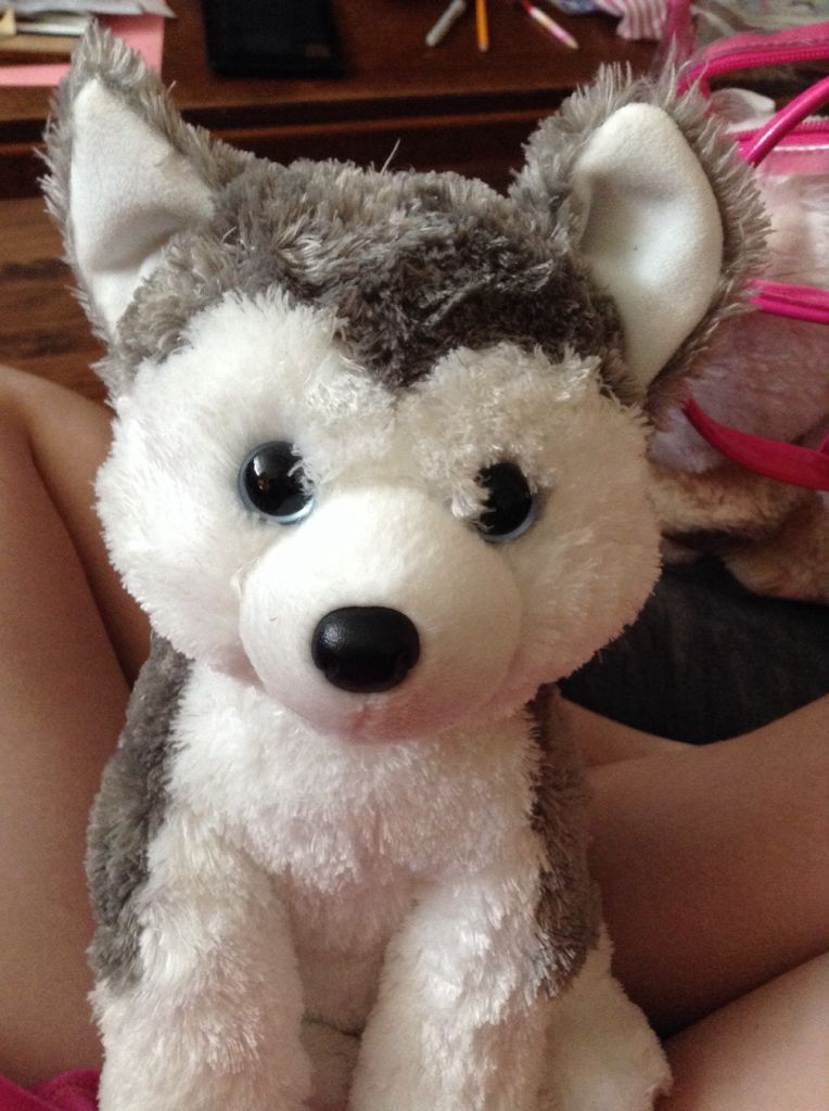 Bongo The Monkey (3) 