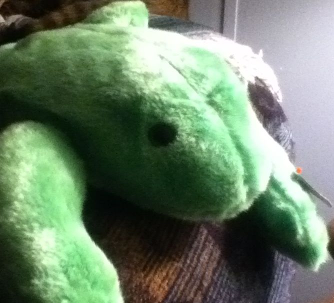 Legs The Beanie Buddy