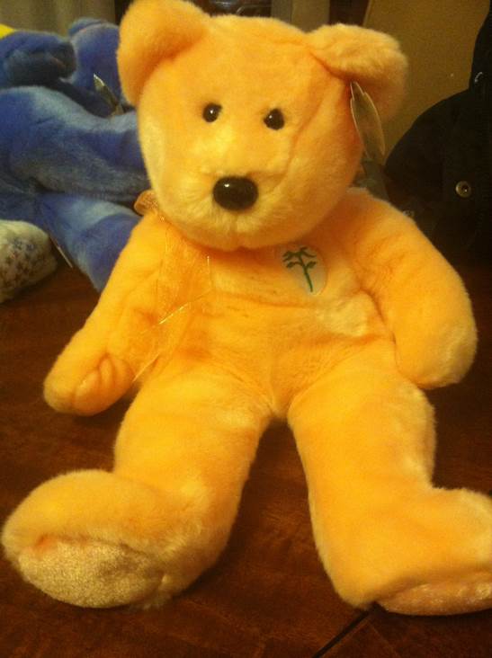 Dearest The Bear Buddy.   L 🐻  plush collectible [Barcode 008421094486] - Main Image 2