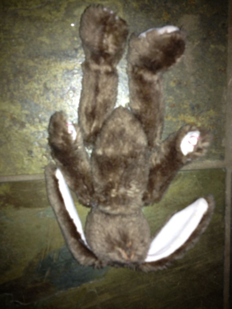 Ice Cube The Penguin Ty Beanie Boos 6”