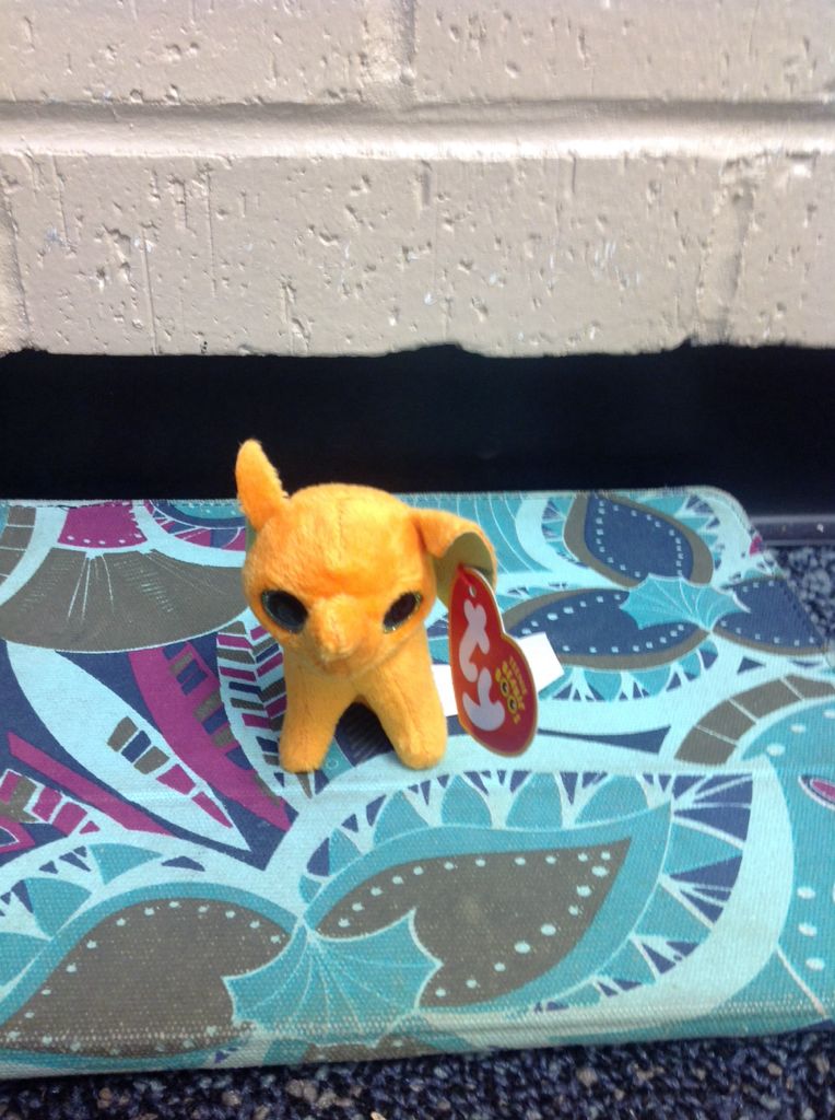 Grady Attic Treasure