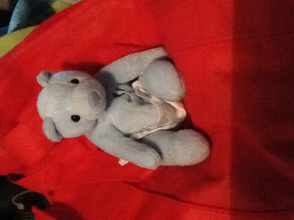 Camper- (Ty Classic Large Size)