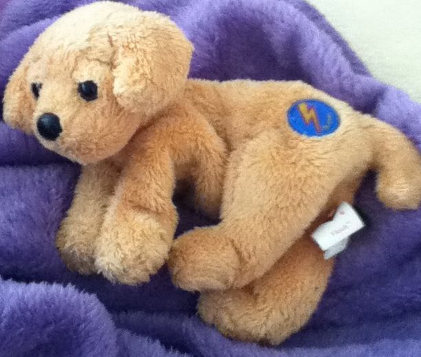 Scared-e (wrong Tag)