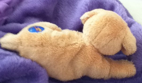 Fletch  (United States) plush collectible - Main Image 2