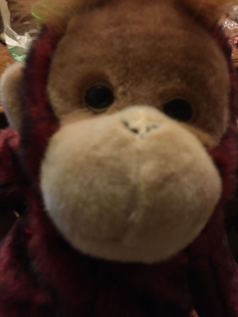 Surprise Attic Treasure