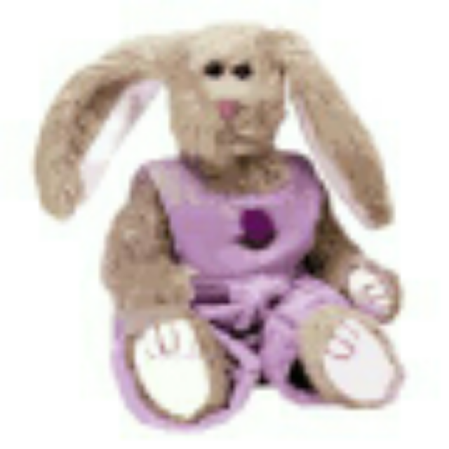 Teenie Beenie Babies 