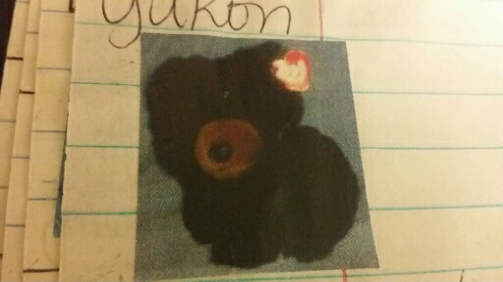 Fairbanks the penguin