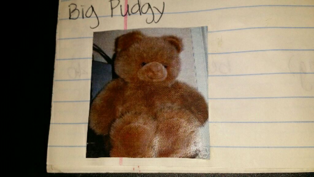 Big Pudgy the Bear Plush  plush collectible - Main Image 1