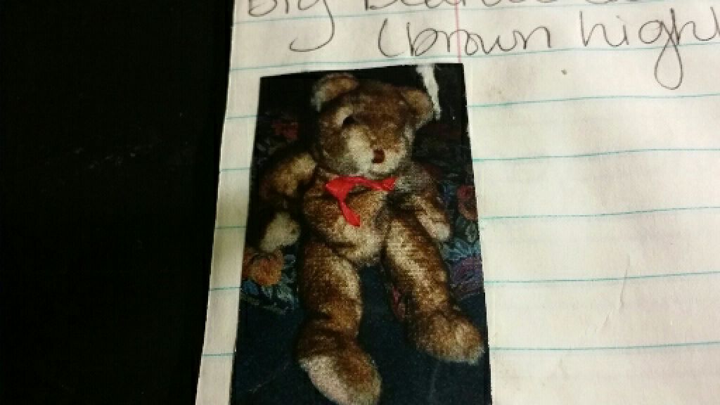 Scruffy the Dog Ty Plush (brown, ribbon)