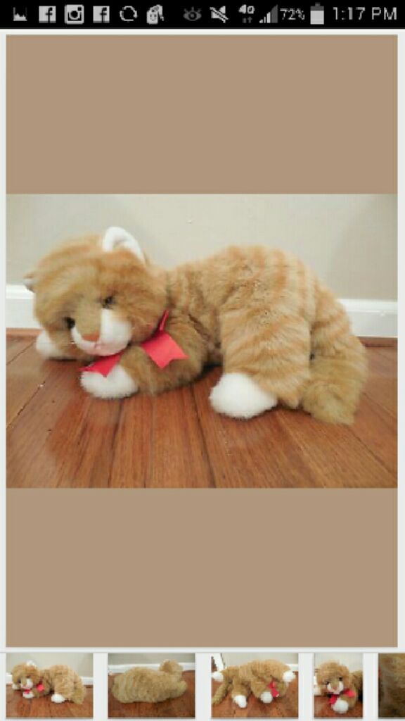 Cleo The Bush Baby (Clip) UK Exclusive