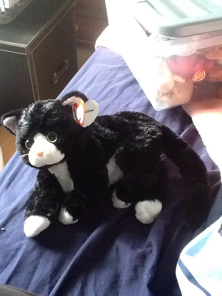 Ty Beanie Babies - Rintoo the Tiger