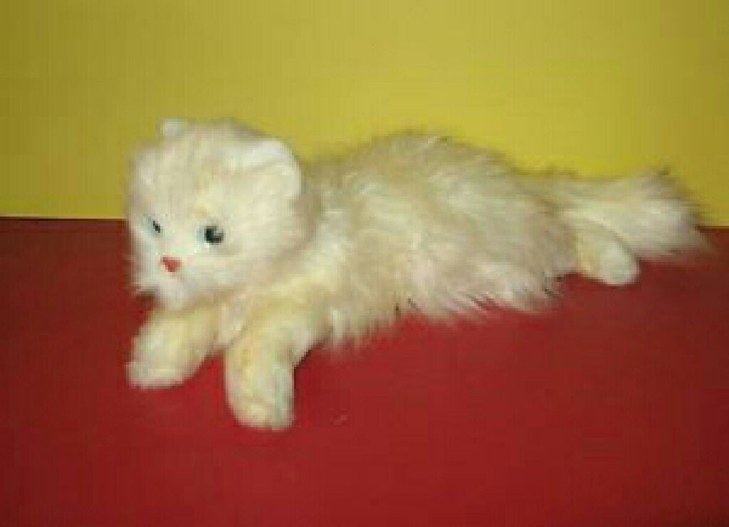 Burger The Bear - Teenie Beanie