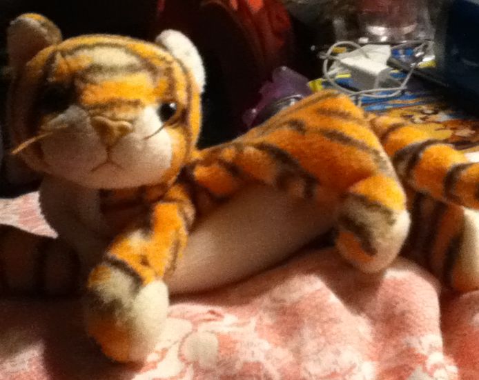 Spunky the Cocker Spaniel Dog (Teenie Beanie)