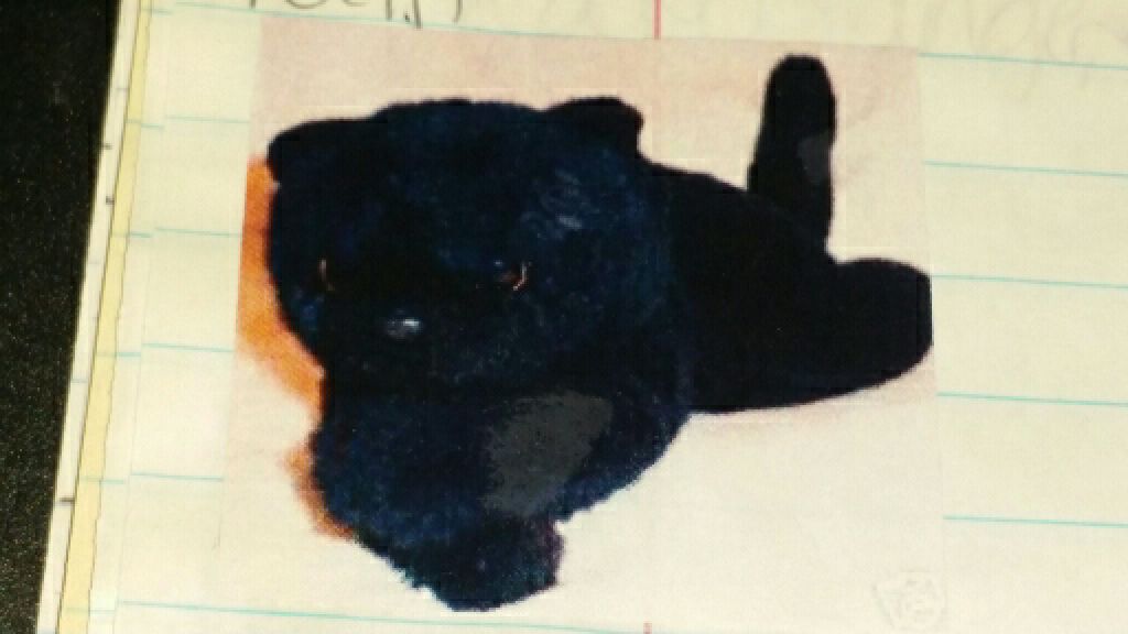 Al E. Kat the Cat (gray, curled) Plush