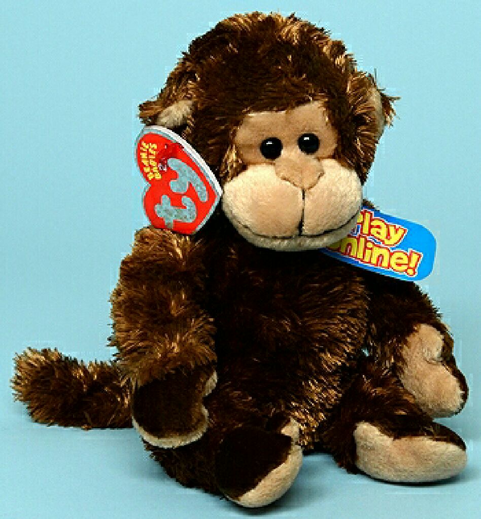 Beanie Bands Spring Collection