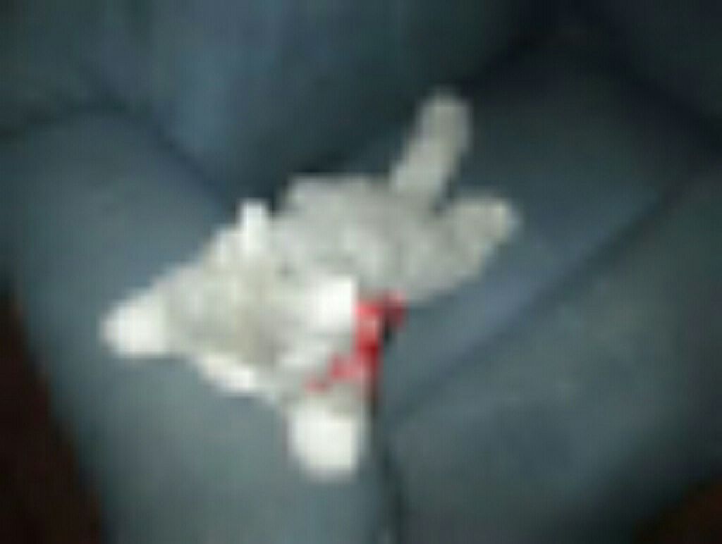 Winnie the Pooh (kc)