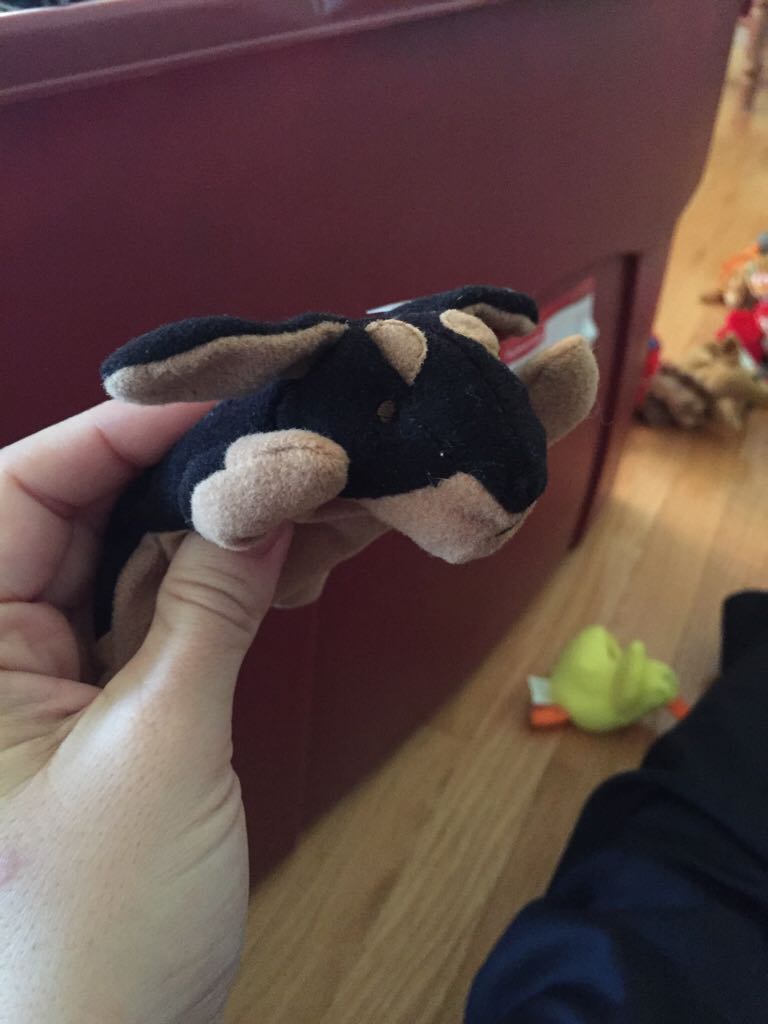 Bandit the Raccoon Ty Plush (brown)