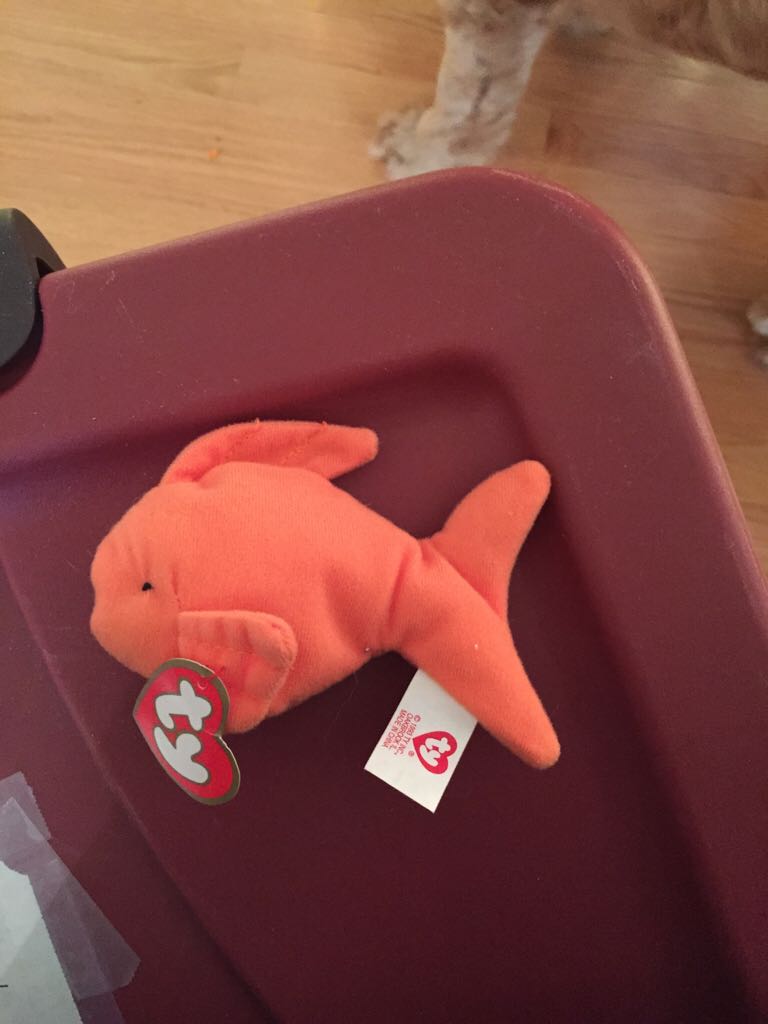 Toffee the Dog Ty Plush