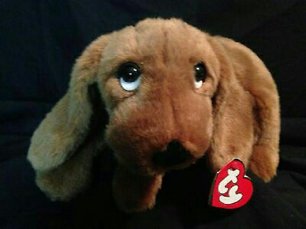 Zip The Cat (Teenie Beanie)