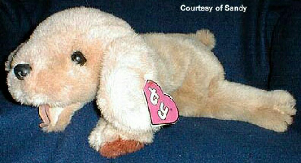 Spotted Leopard With Green Bow