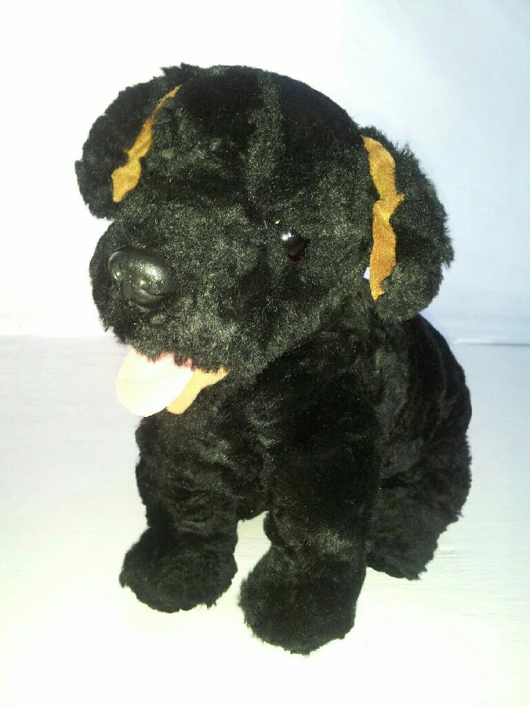 (Arkansas) Quarter State Bears